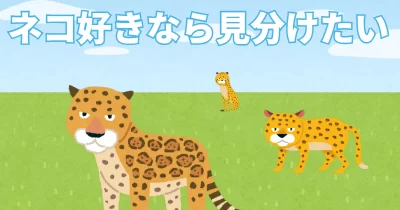 ネコ好きなら見分けたい